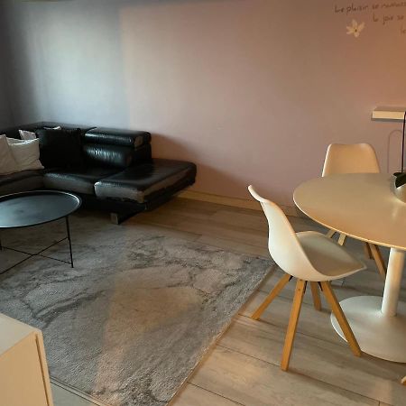 שטרסבורג Superbe Appartement Avec Place De Parking Gratuit מראה חיצוני תמונה